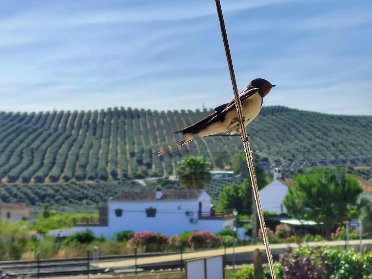Apartmán El Rancho Grande - Apartamento Alora